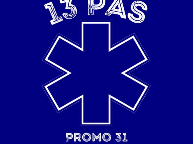 logo-promo-13-pas.jpg